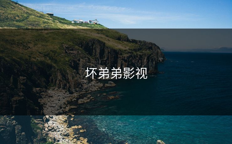 坏弟弟影视