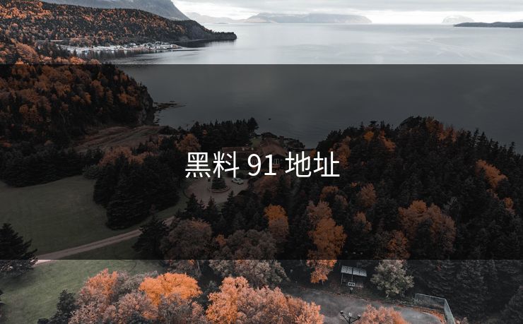 黑料 91 地址