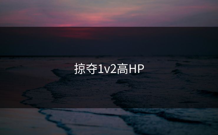 掠夺1v2高HP