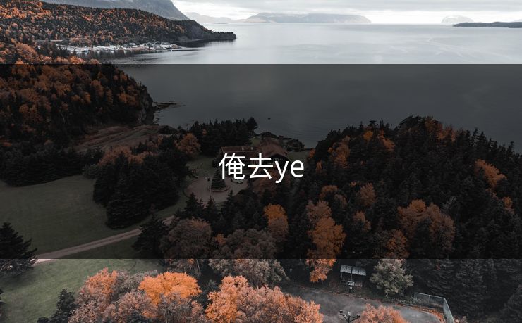 俺去ye