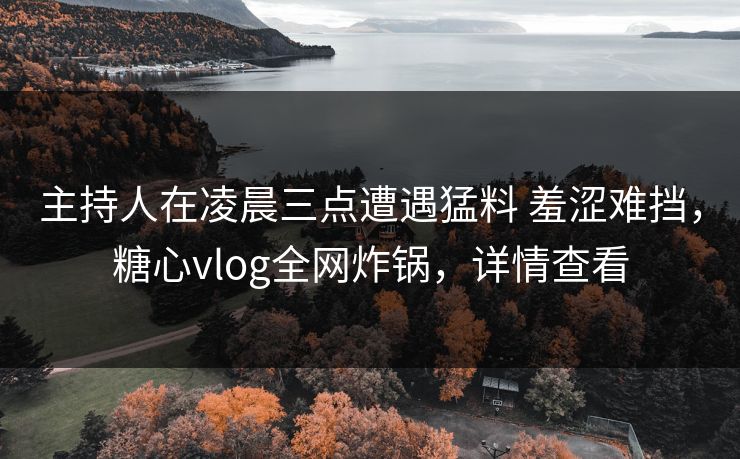 主持人在凌晨三点遭遇猛料 羞涩难挡，糖心vlog全网炸锅，详情查看
