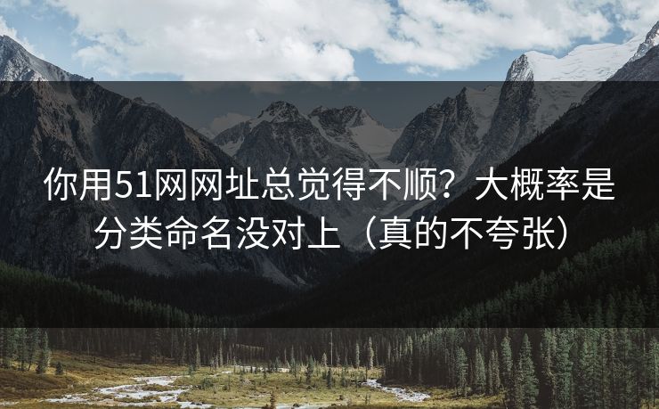 你用51网网址总觉得不顺？大概率是分类命名没对上（真的不夸张）