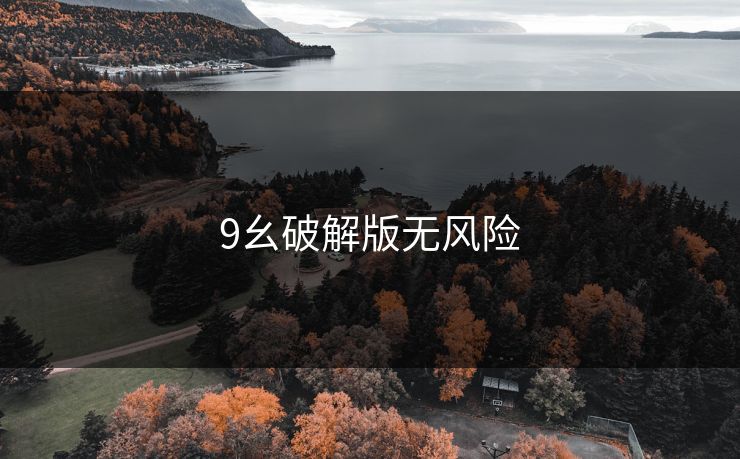 9幺破解版无风险
